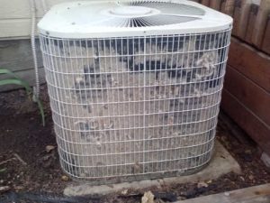 dirty condenser coils 1 1